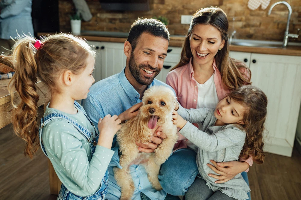 Pet Insurance Pet Insurance